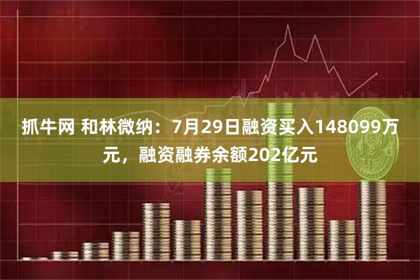抓牛网 和林微纳：7月29日融资买入148099万元，融资融券余额202亿元
