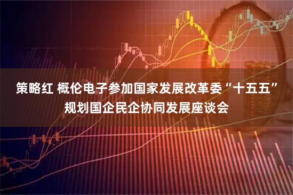 策略红 概伦电子参加国家发展改革委“十五五”规划国企民企协同发展座谈会